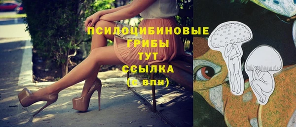 прущая мука Армянск