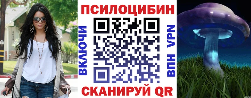 Галлюциногенные грибы Psilocybe закладка Солнечногорск